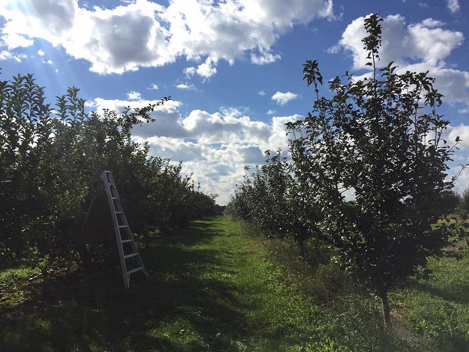 Erie Orchards and Cider Mill - All You Need to Know BEFORE You Go
