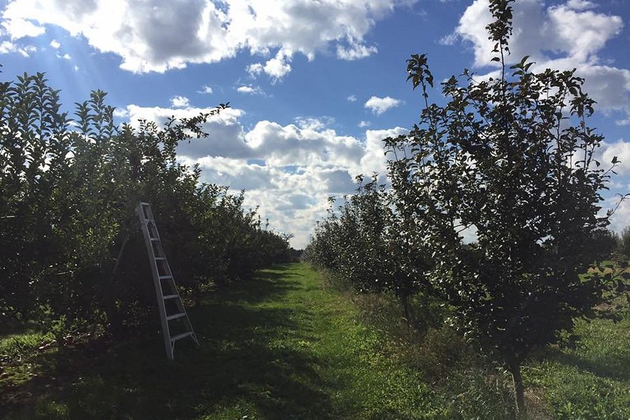 Erie Orchards and Cider Mill image