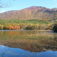 Kannonnuma Forest Park (Shimogo-machi) - All You Need to Know BEFORE You Go