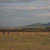 Top 10 Nature & Wildlife Tours in Mara North Conservancy, Rift Valley Province