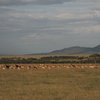 Top 10 Tours in Mara North Conservancy, Rift Valley Province
