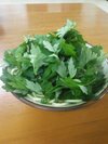 Baba-chanOkinawa