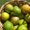 Hacienda Mil Bellezas