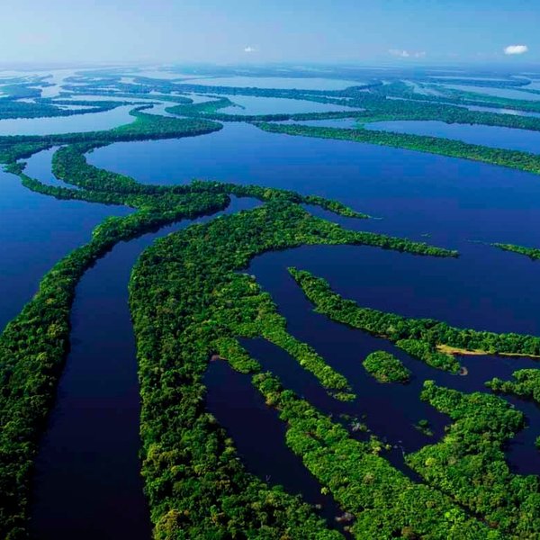 Mamiraua Sustainable Development Reserve (State of Amazonas) - All You ...