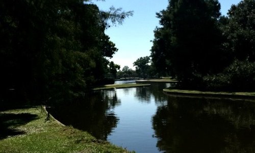 Lafreniere Park 