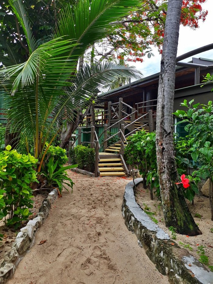 Beachcomber Island Resort Guesthouse Reviews Photos Rate Comparison