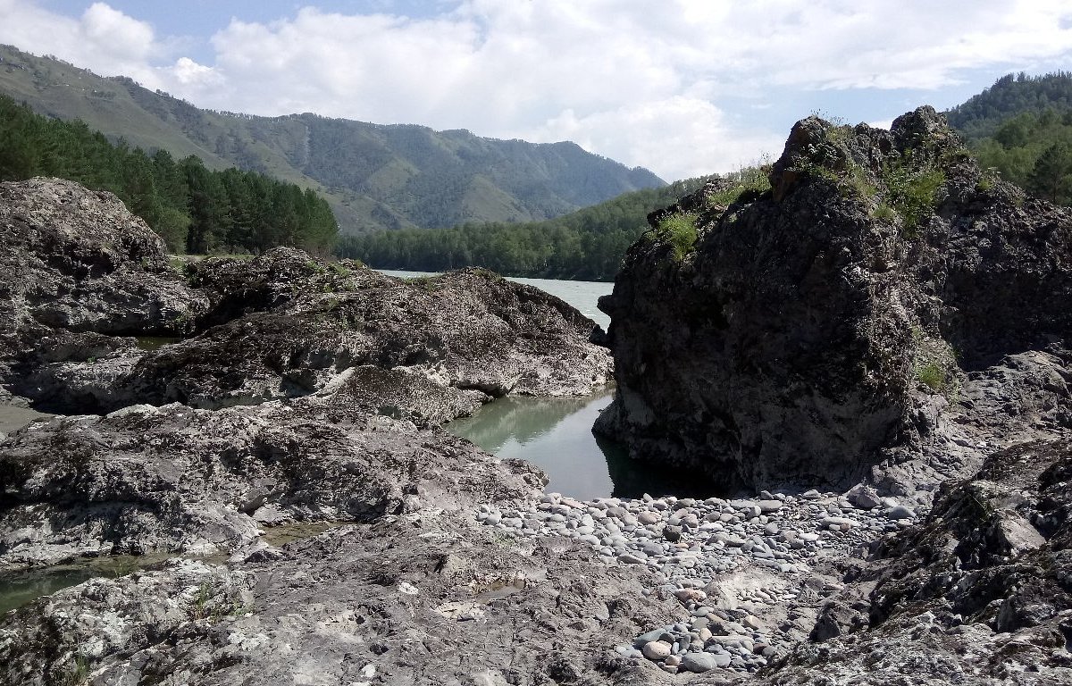 Сарлык ул пчелкина 15а село чемал. Байрам Конная база Чемал.