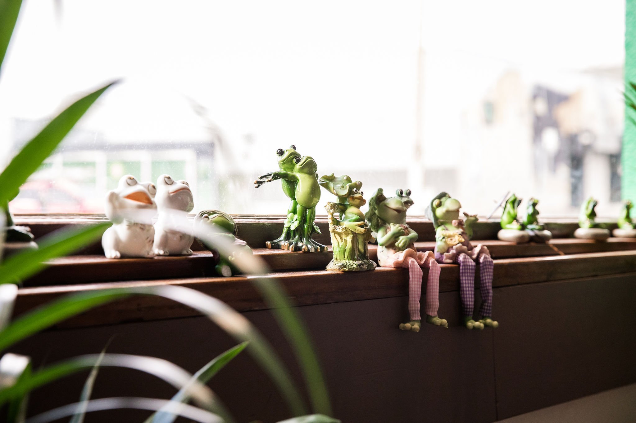 The Pickled Frog by null