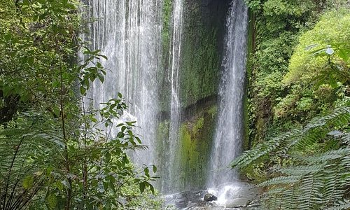 It’s definitely worth the extra hour to go and visit Korokoro Falls!