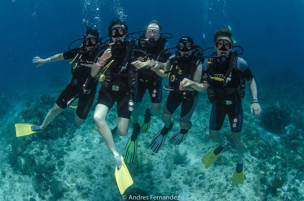 Dives-to 10 Demon : : Sports & Outdoors