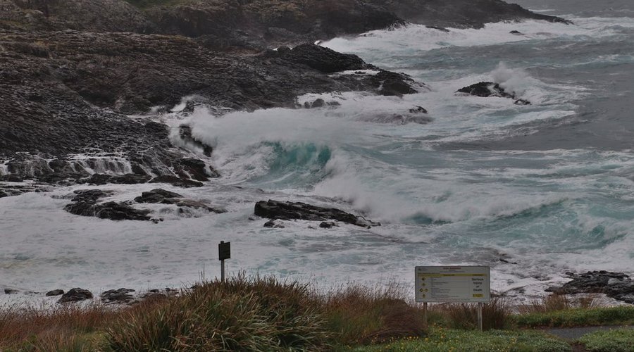 The wild ocean