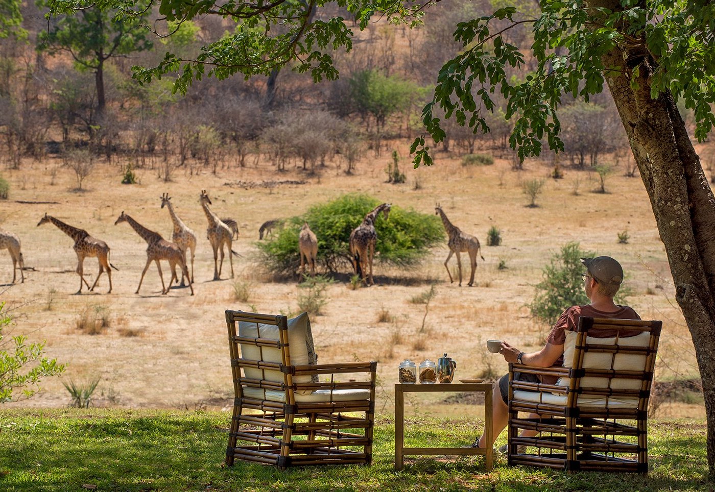 Anantara Stanley & Livingstone Victoria Falls Hotel by null
