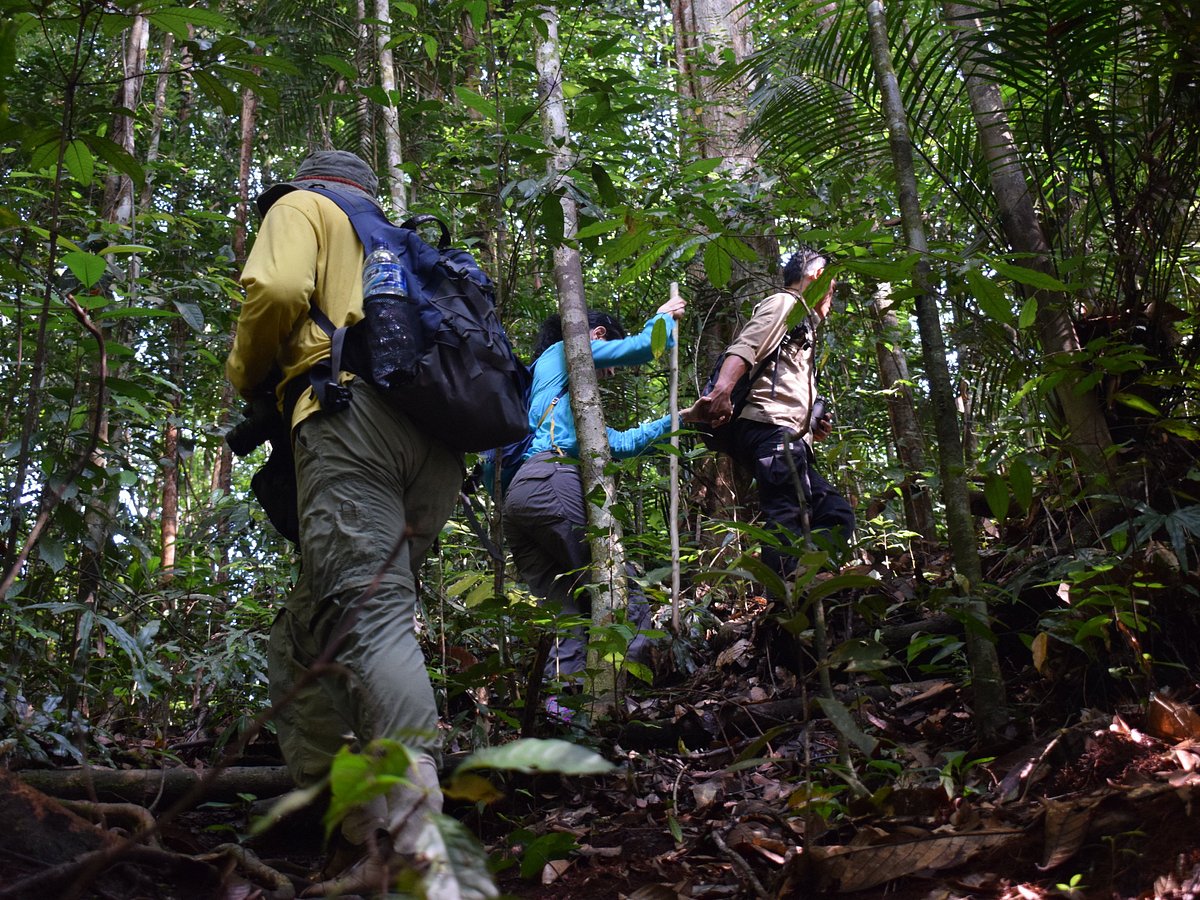 Jungle Sumatra Tour & Trek (Bukit Lawang) - All You Need to Know BEFORE ...