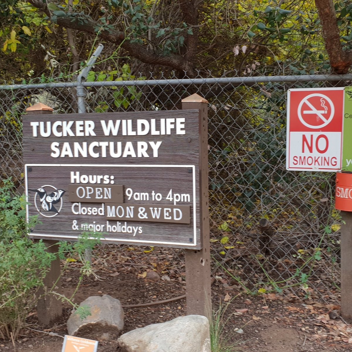 List 101+ Pictures tucker wildlife sanctuary, modjeska canyon road, ca Full HD, 2k, 4k