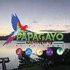 Papagayoadventures