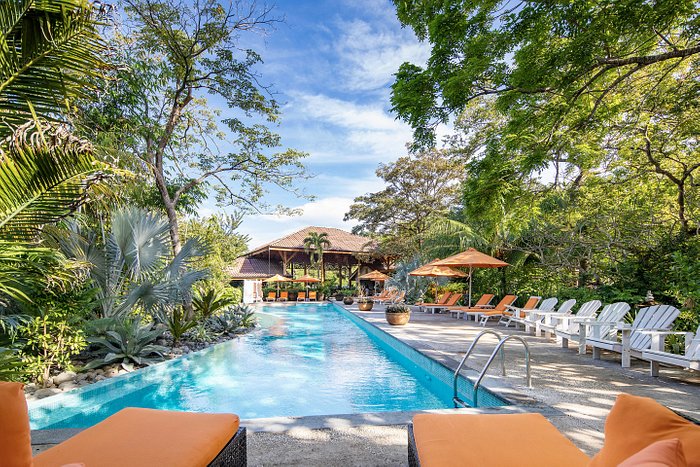 BODHI TREE YOGA RESORT - Updated 2024 Prices & Hotel Reviews (Nosara, Costa  Rica)