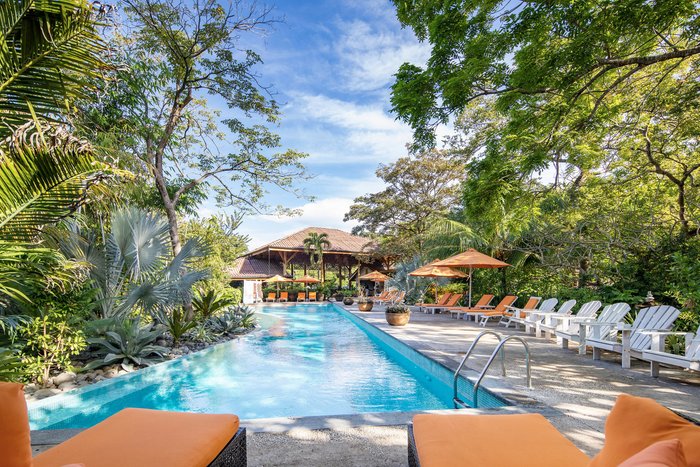 bodhi tree yoga resort owner