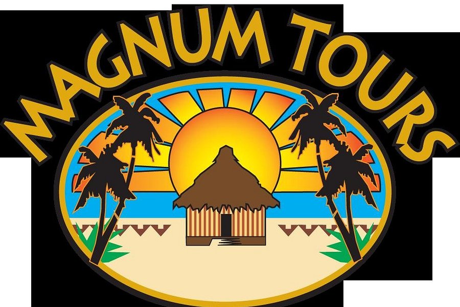 Magnum Tours image