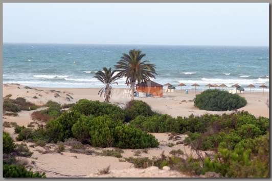 Tourismus in La Marina, Spanien Highlights und Reisetipps Tripadvisor