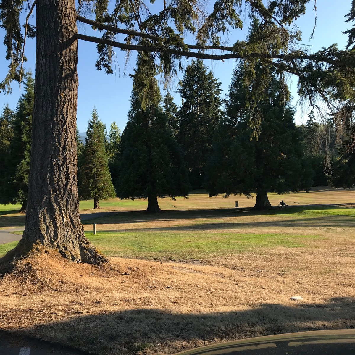 Peninsula Golf Club (Port Angeles) ATUALIZADO 2022 O que saber antes