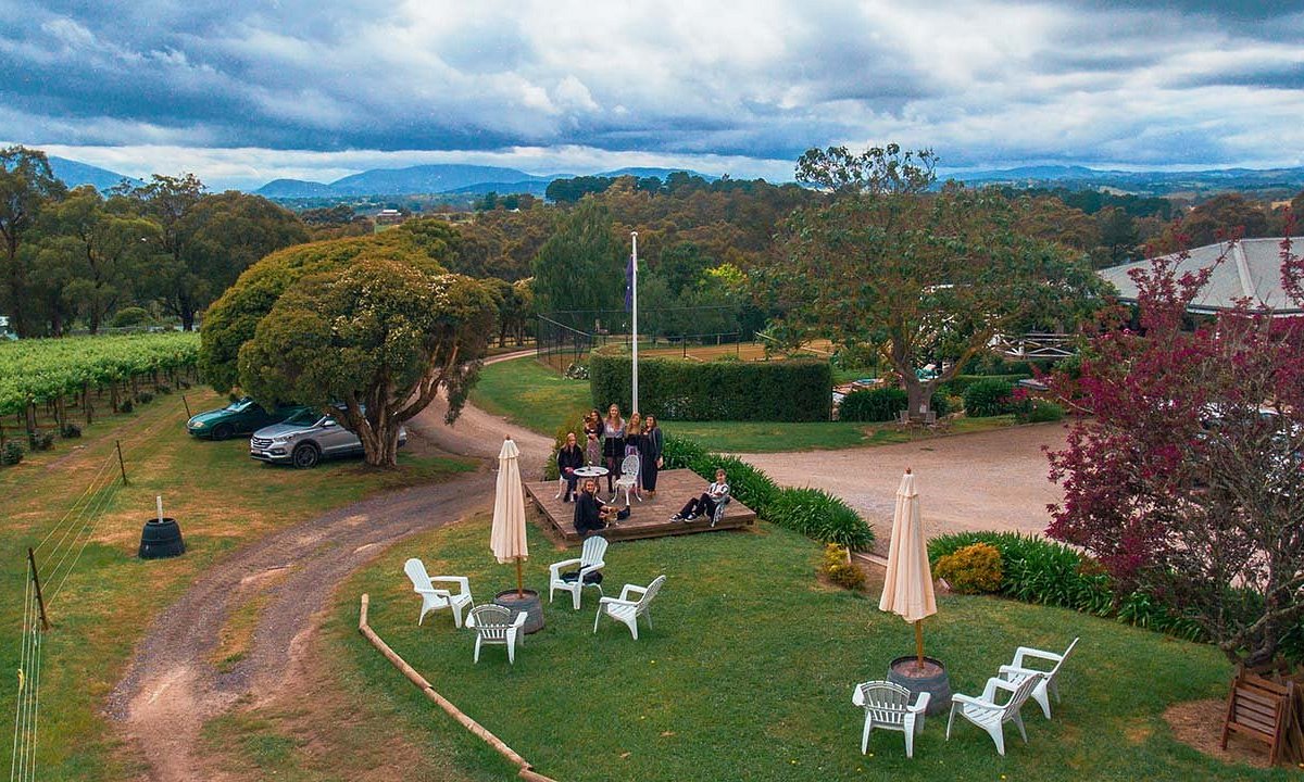 kangaroo tours yarra valley