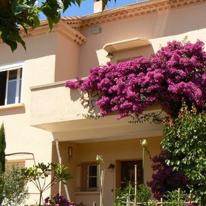 Une authentique villa languedocienne des années 50, avec son jardin méditerranéen fleuri