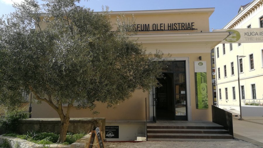 Museum Olei Histriae, the House of Istrian Olive Oil
