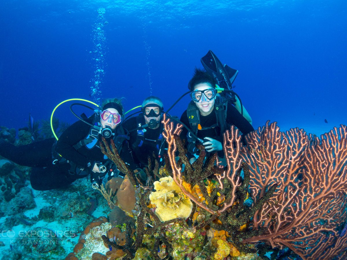 Eco Divers (Cozumel) - All You Need to Know BEFORE You Go