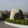 adleriren