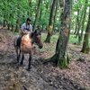 dragos_lungu