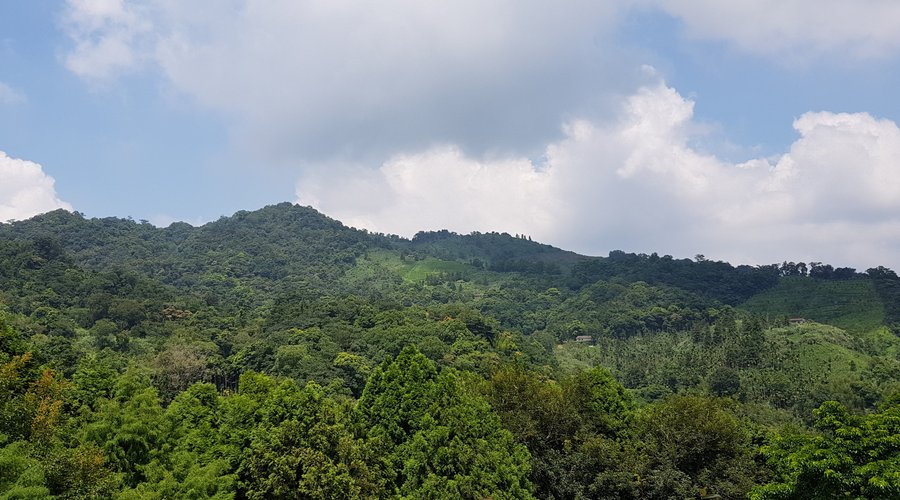 View from cottage
