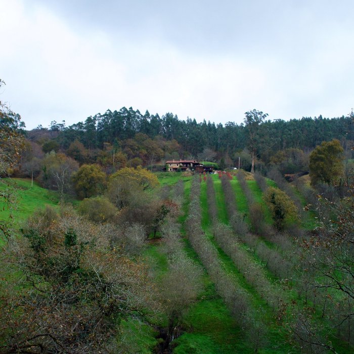 Imagen 18 de Apartamentos Rurales SENDERO DEL AGUA