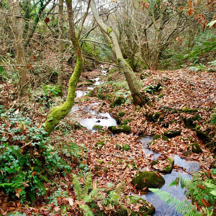 Imagen 13 de Apartamentos Rurales SENDERO DEL AGUA