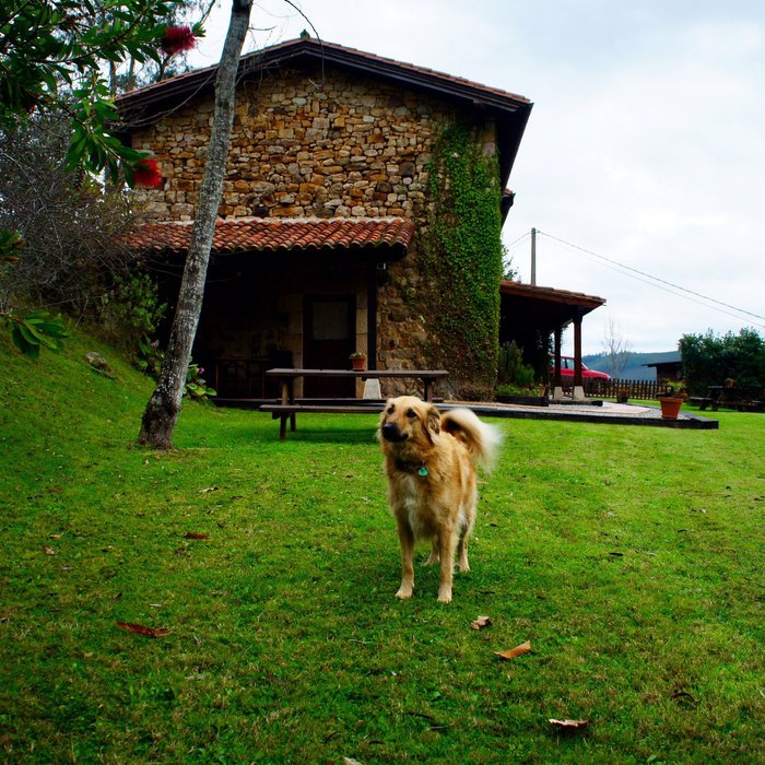 Imagen 10 de Apartamentos Rurales SENDERO DEL AGUA