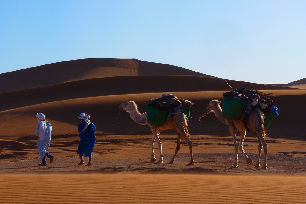 Deserto com areia movediça - Avaliações de viajantes - Wadi Araba Desert -  Tripadvisor