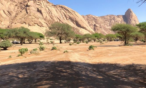 مناطق برية بمنطقة الرياض