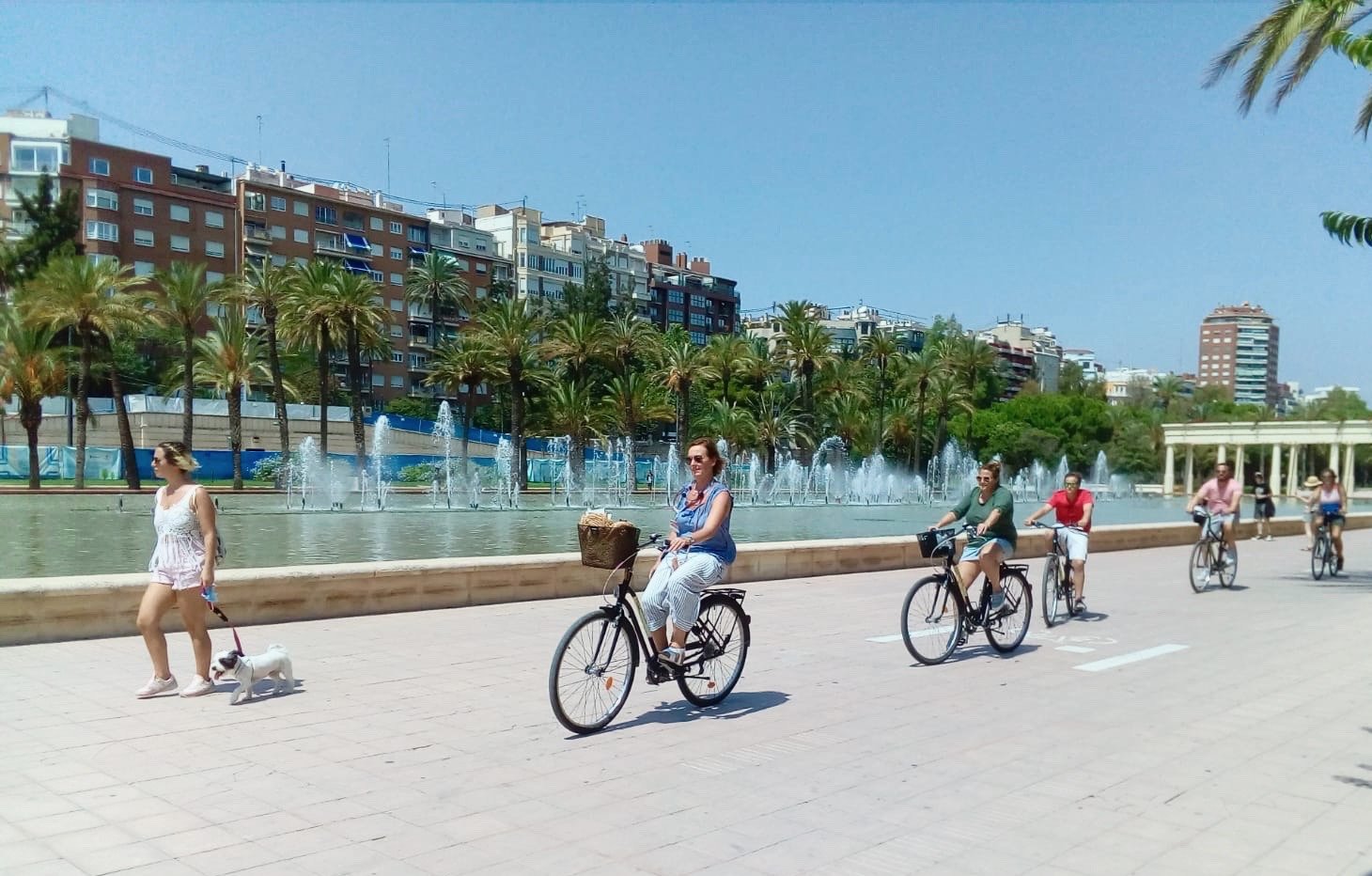 BIKEALAO - BIKE RENTAL AND TOURS IN VALENCIA (Valence): Ce Qu'il Faut ...