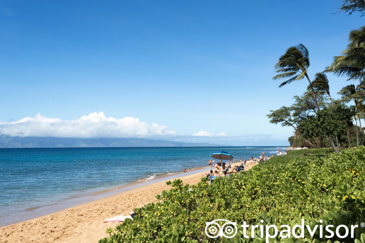 The Westin Nanea Ocean Villas, Ka'anapali Pool Pictures & Reviews ...