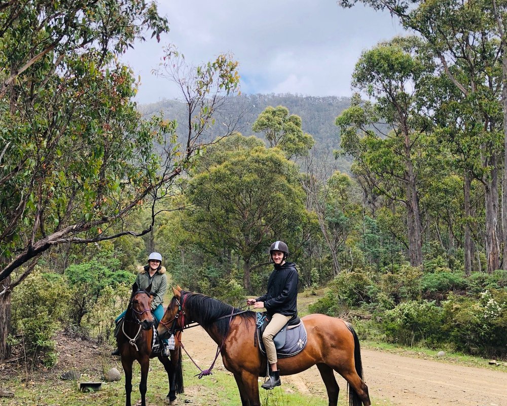 THE 15 BEST Australia Horseback Riding Tours (2025) - Tripadvisor