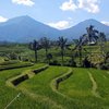Face Bali voyage