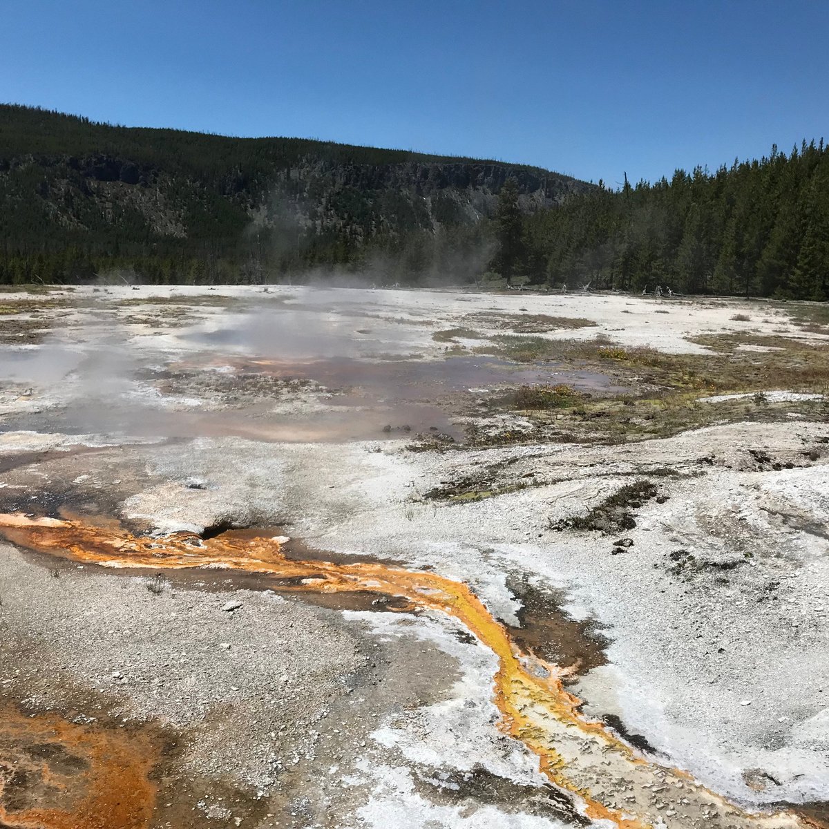 Daisy Geyser (Yellowstone National Park) - Alles wat u moet weten ...