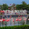 Pattaya_SheepFarm