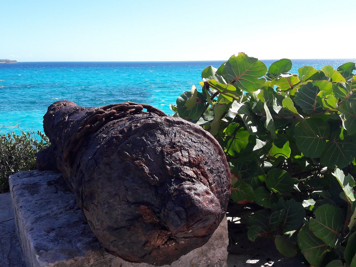 blue lagoon island tours