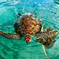 EXUMA CAYS LAND AND SEA PARK (Great Exuma) - What to Know BEFORE You Go