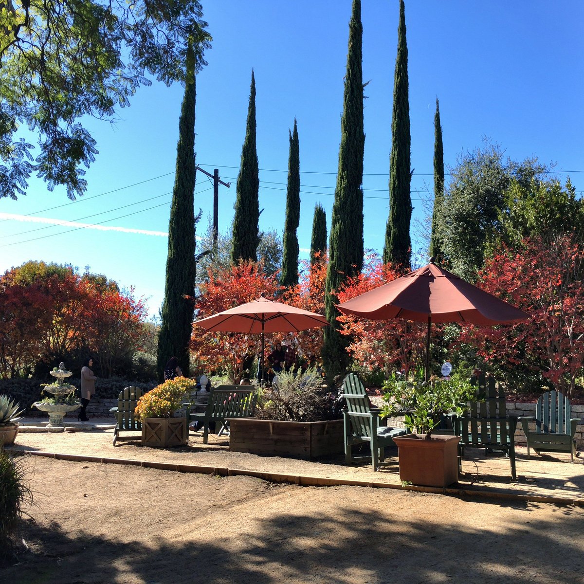 Arlington Garden In Pasadena Location