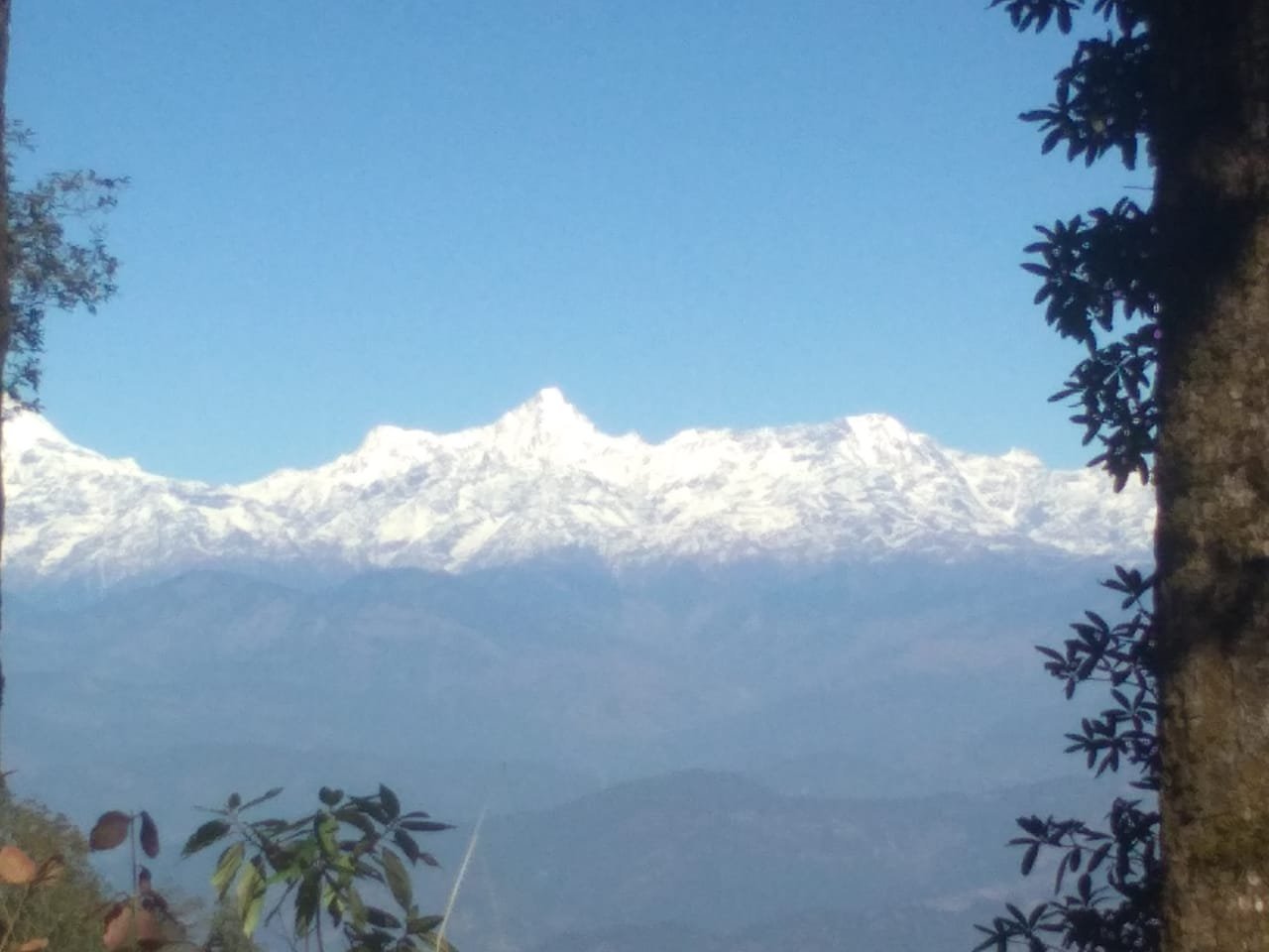 Binsar, India 2023: Best Places to Visit - Tripadvisor