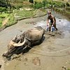 vietnamtour