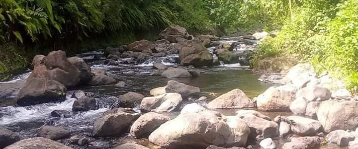 EMBU NATURE TRAIL