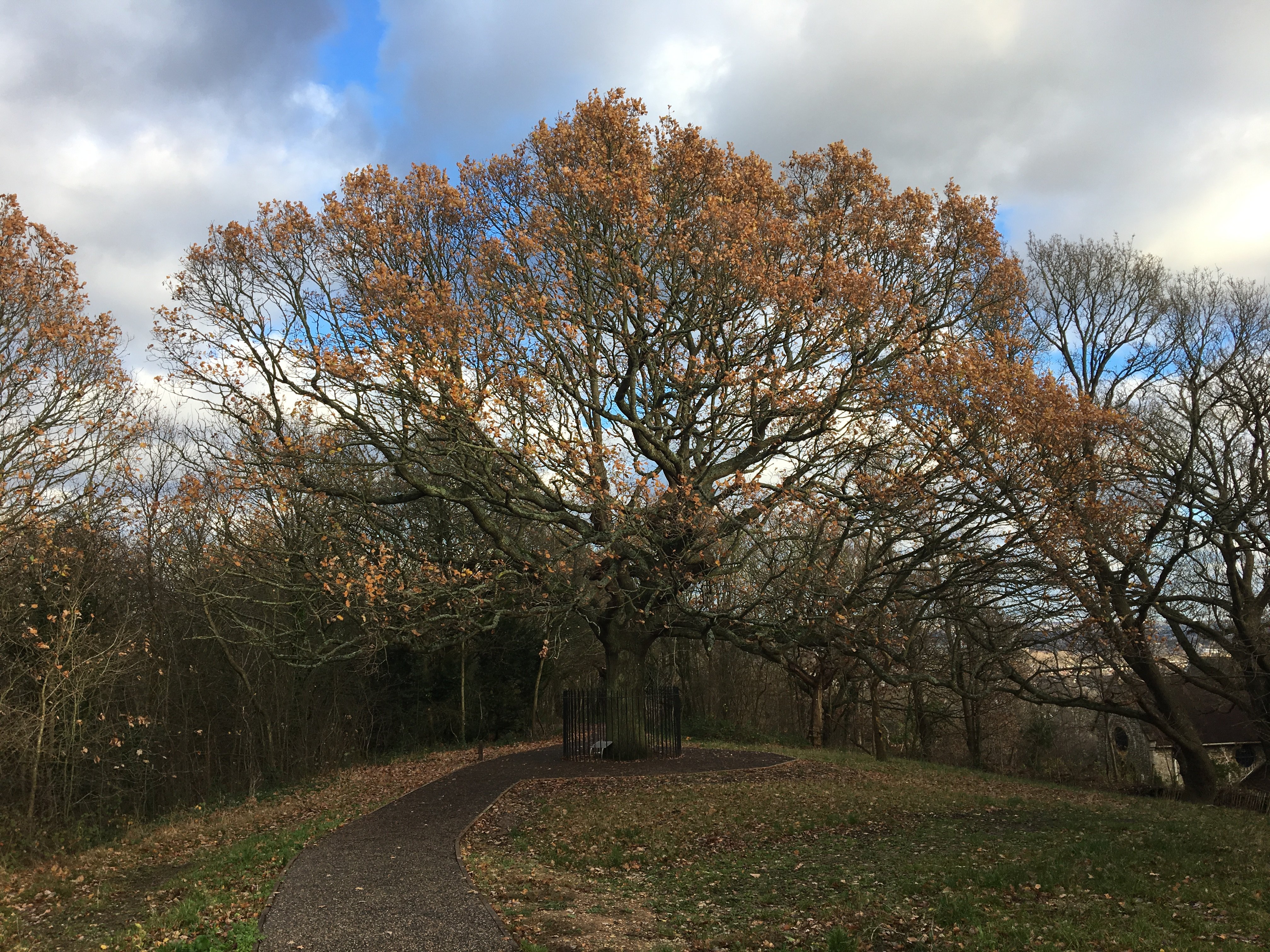 ONE TREE HILL LOCAL NATURE RESERVE All You Need to Know BEFORE