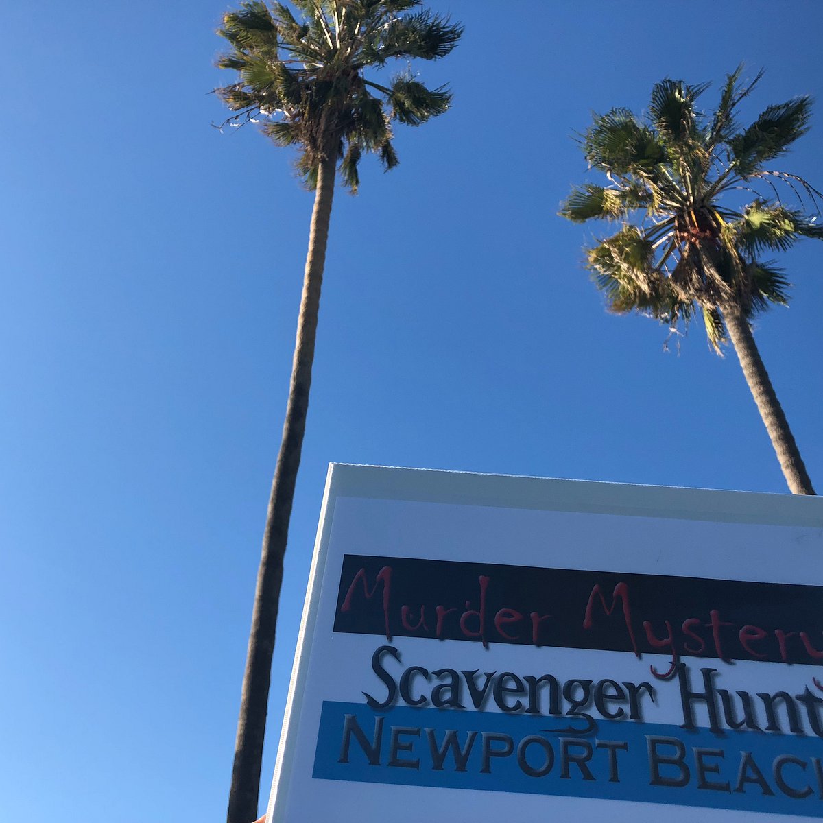 Murder Mystery Scavenger Hunt: Newport Beach - All You Need to Know ...